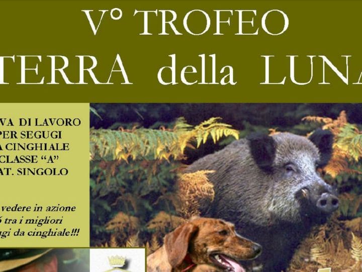 V° Trofeo della Luna PRO SEGUGIO Massa Carrara - C&C Hunting | Outdoor Innovation V° Trofeo della Luna PRO SEGUGIO Massa Carrara - C&C Hunting | Outdoor Innovation