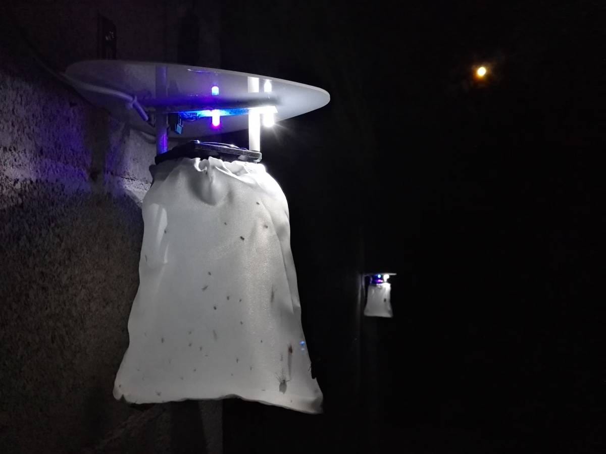 Trappole per la Leishmania (Lesmaniosi) Trappole per la Leishmania (Lesmaniosi)