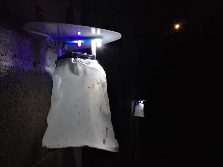 Trappole per la Leishmania (Lesmaniosi) - C&C Hunting | Outdoor Innovation Trappole per la Leishmania (Lesmaniosi) - C&C Hunting | Outdoor Innovation