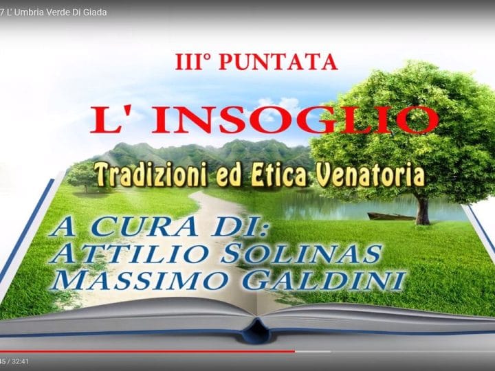 L’Umbria Verde Di Giada, Puntata del 6 Ottobre 2017 - C&C Hunting | Outdoor Innovation L’Umbria Verde Di Giada, Puntata del 6 Ottobre 2017 - C&C Hunting | Outdoor Innovation