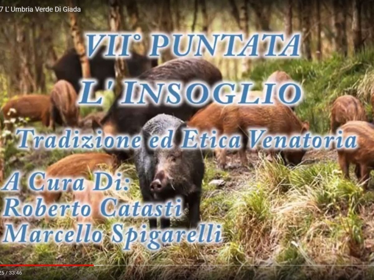 L’Umbria Verde Di Giada, Puntata del 3 Novembre 2017 L’Umbria Verde Di Giada, Puntata del 3 Novembre 2017