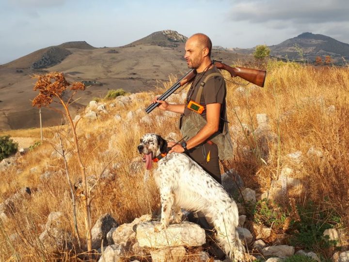 Migrazione delle Beccacce in Sicilia – Analisi stagione 2017/18 - C&C Hunting | Outdoor Innovation