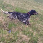 Trofeo Saladini Pilasti ed ENCI montagna