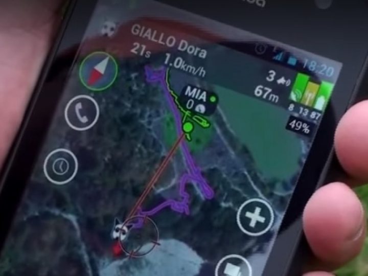 Caccia al Cinghiale con il Collare Satellitare GPS Tracker G400Fi - C&C Hunting | Outdoor Innovation