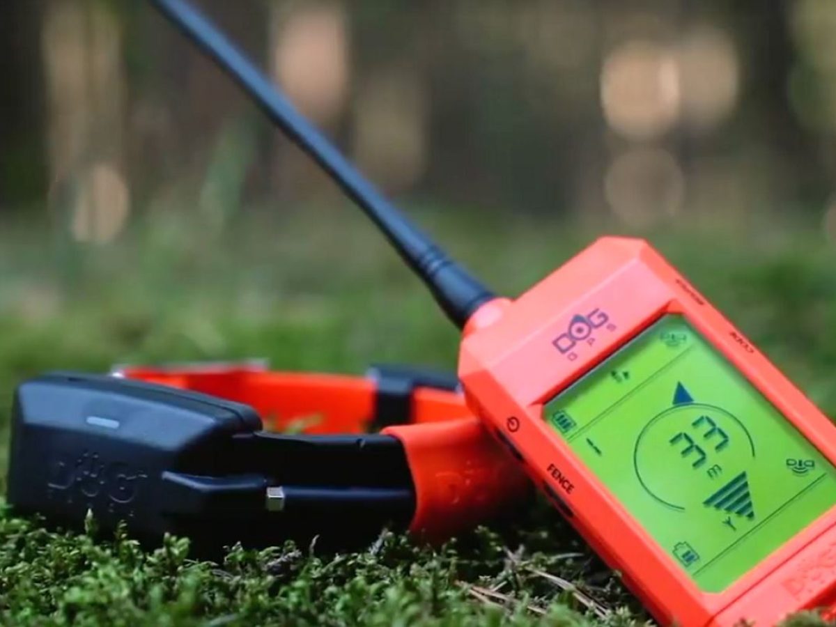 C&CHunting, distributore ufficiale Italia Dog Trace C&CHunting, distributore ufficiale Italia Dog Trace