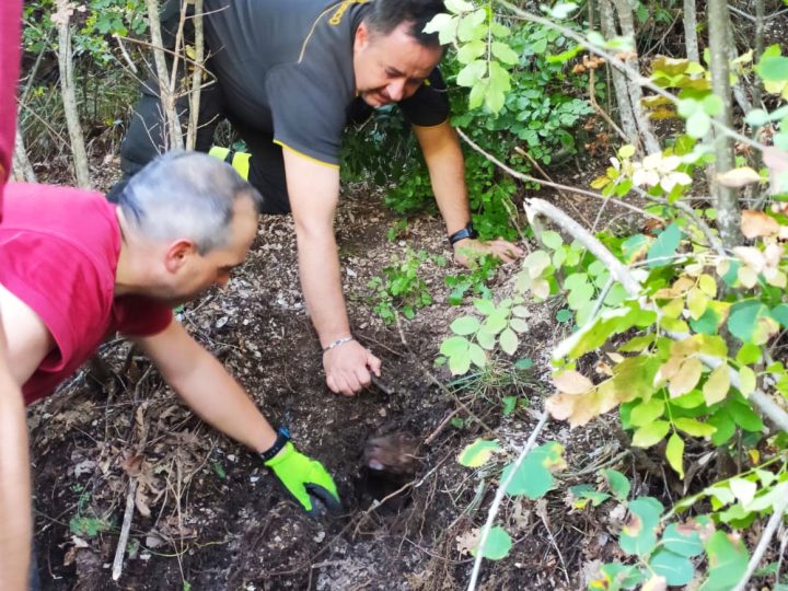 Il collare GPS, i Vigili del Fuoco ed il salvataggio del cane da caccia - C&C Hunting | Outdoor Innovation