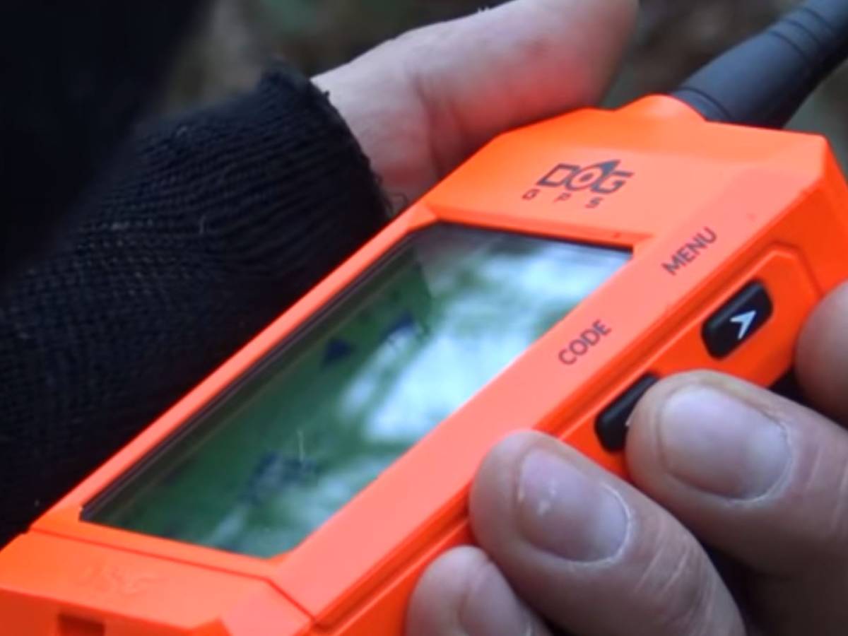 Le beccacce fantasma Le beccacce fantasma