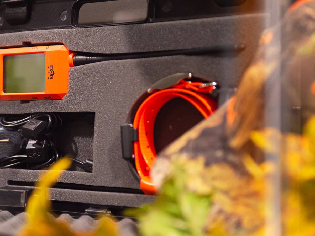 A caccia con Dog Trace X30T