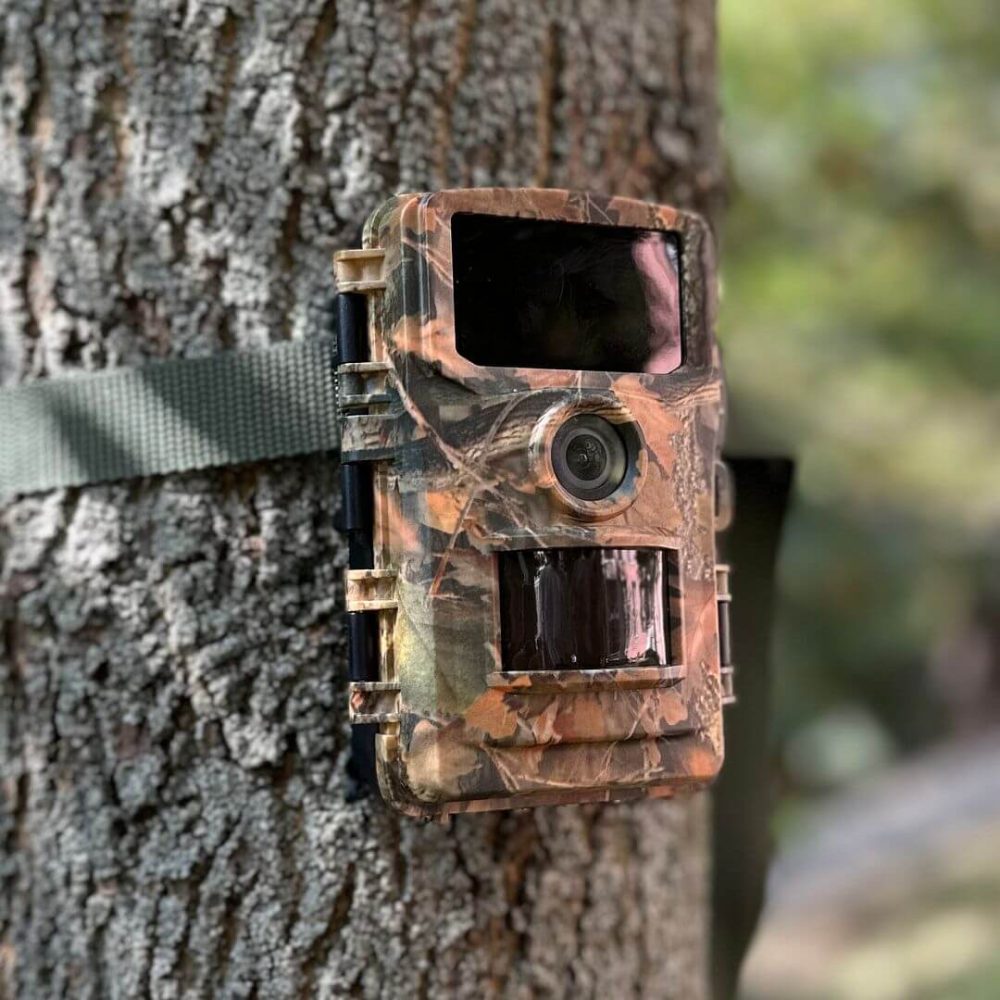 DogTrace Phototrap d-guard 940 - immagine 5
