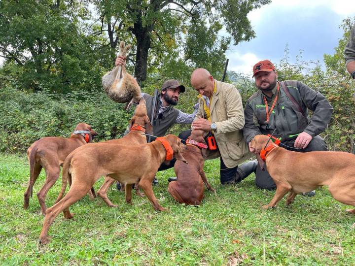 Caccia alla lepre con i segugi di Carlo Generotti - C&C Hunting | Outdoor Innovation