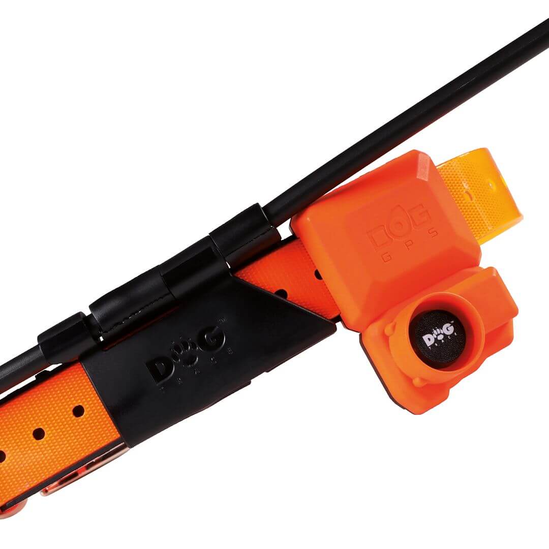 DOG GPS X40B – Collare GPS per cani con beeper - immagine 2
