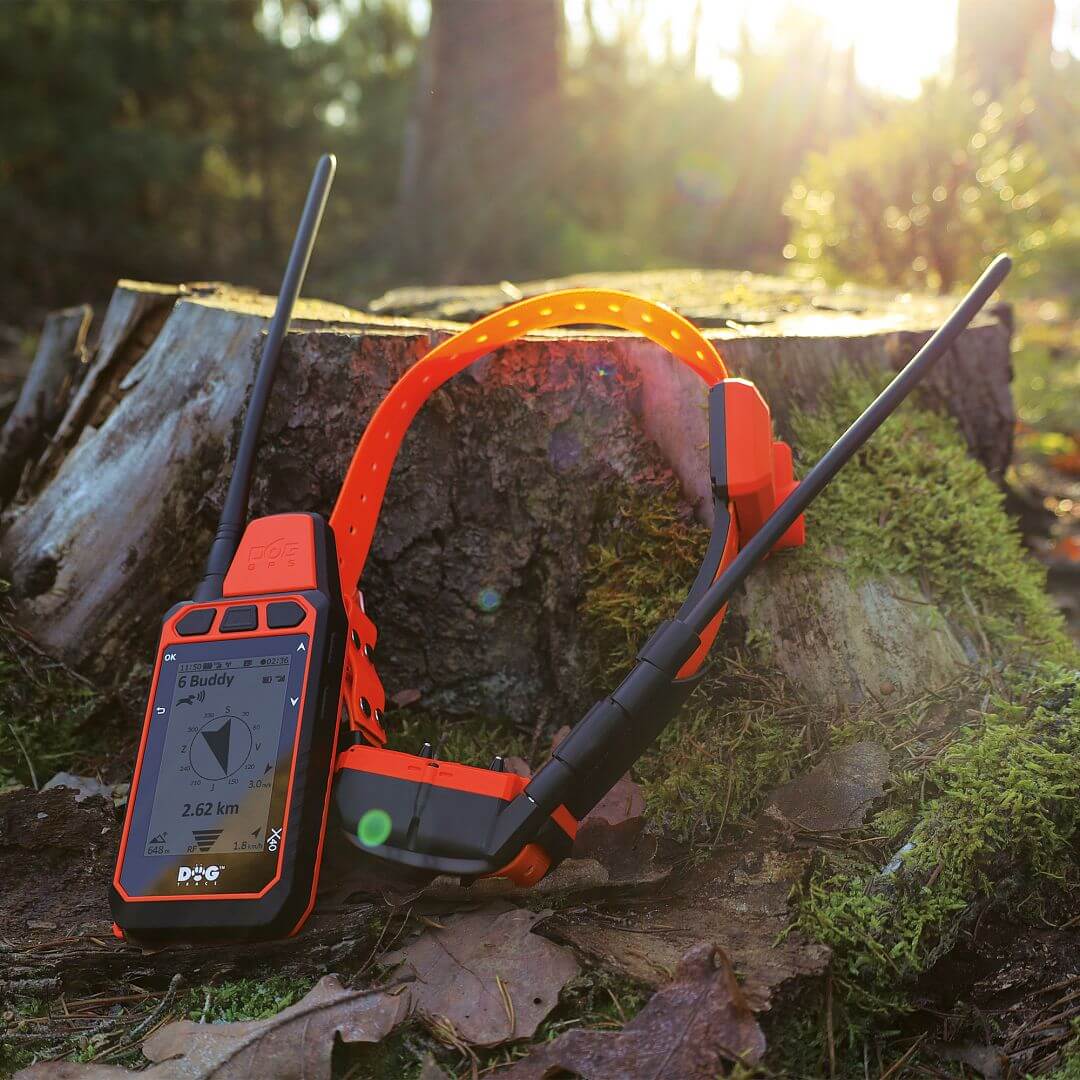 DOG GPS X40B – Collare GPS per cani con beeper - immagine 14