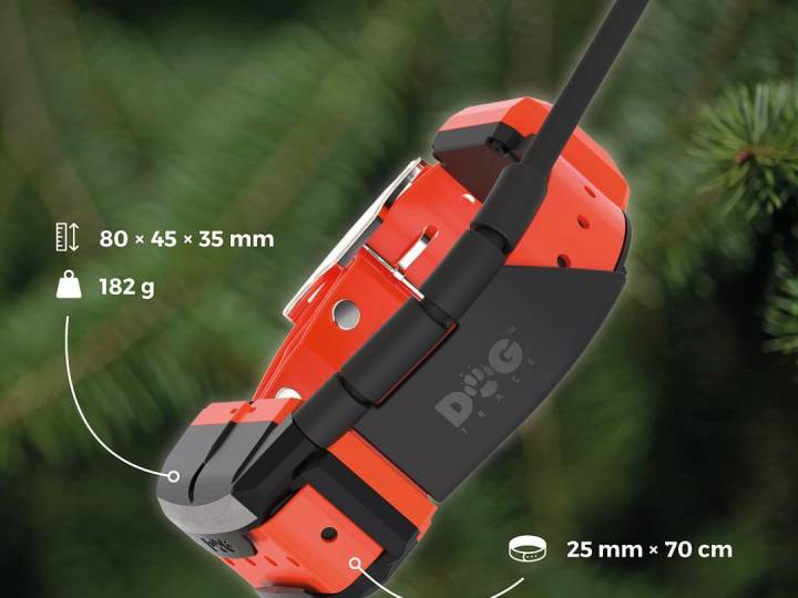 DOG GPS X40T – Collare GPS per cani con funzione di addestramento - C&C Hunting | Outdoor Innovation