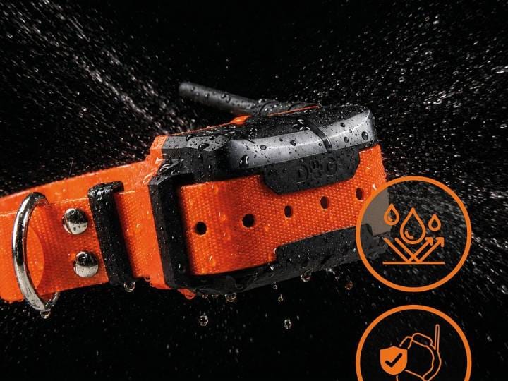 DOG GPS X40T – Collare GPS per cani con funzione di addestramento - C&C Hunting | Outdoor Innovation
