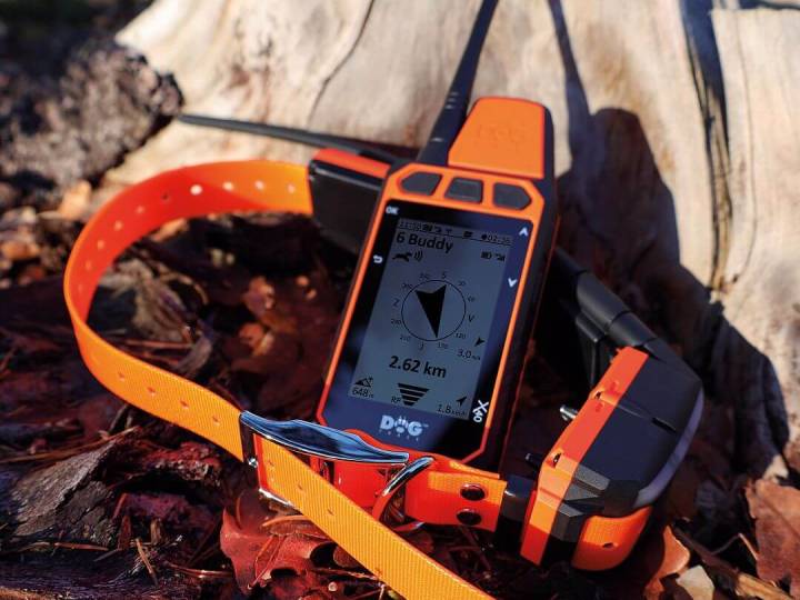 DOG GPS X40T – Collare GPS per cani con funzione di addestramento - C&C Hunting | Outdoor Innovation