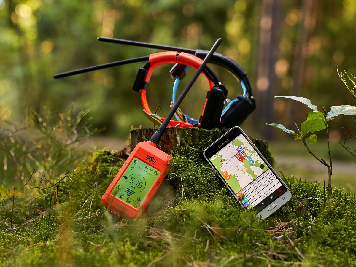 I migliori collari satellitari GPS - C&C Hunting | Outdoor Innovation