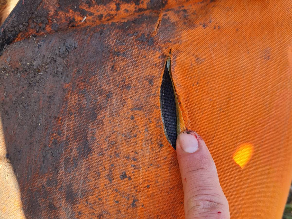 “La mia Luna salva grazie ai corpetti C&C Hunting” “La mia Luna salva grazie ai corpetti C&C Hunting”