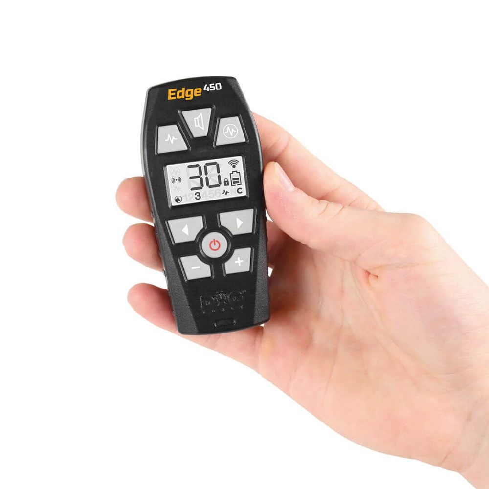 D-Control EDGE 250/450 ONE - immagine 2