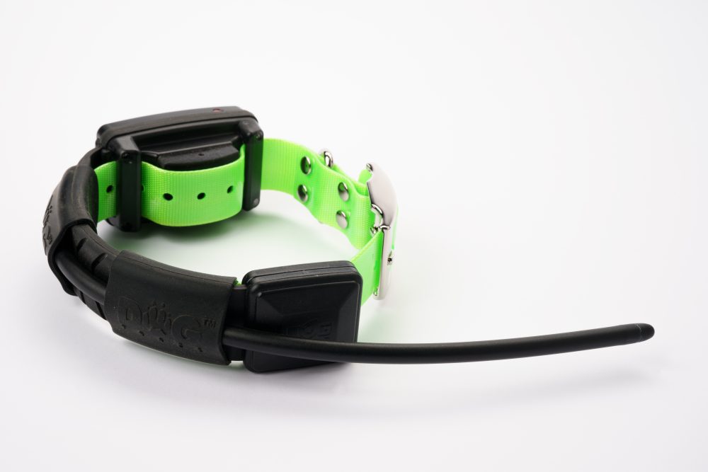 Dogtrace DOG GPS X30T, Collare - immagine 3