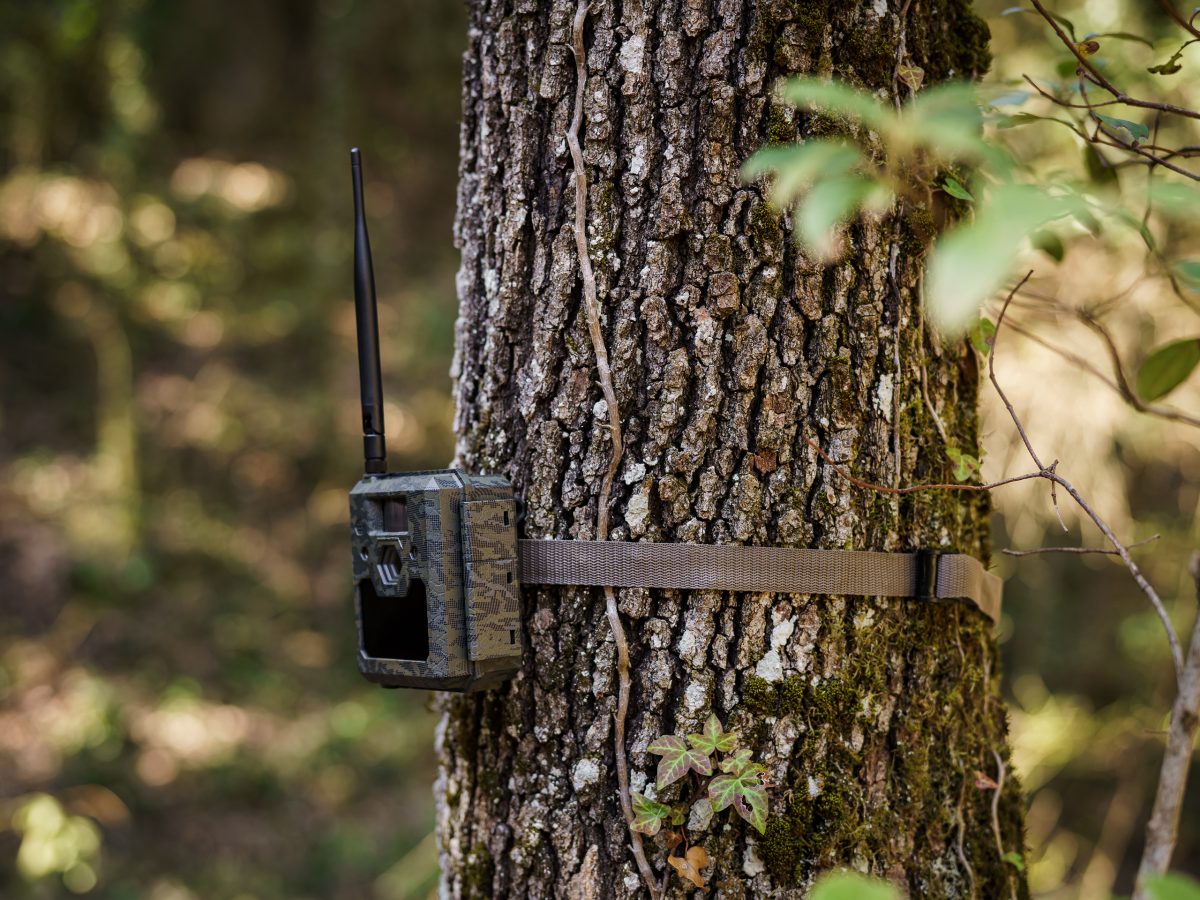 Fototrappole ad alta risoluzione - C&C Hunting | Outdoor Innovation