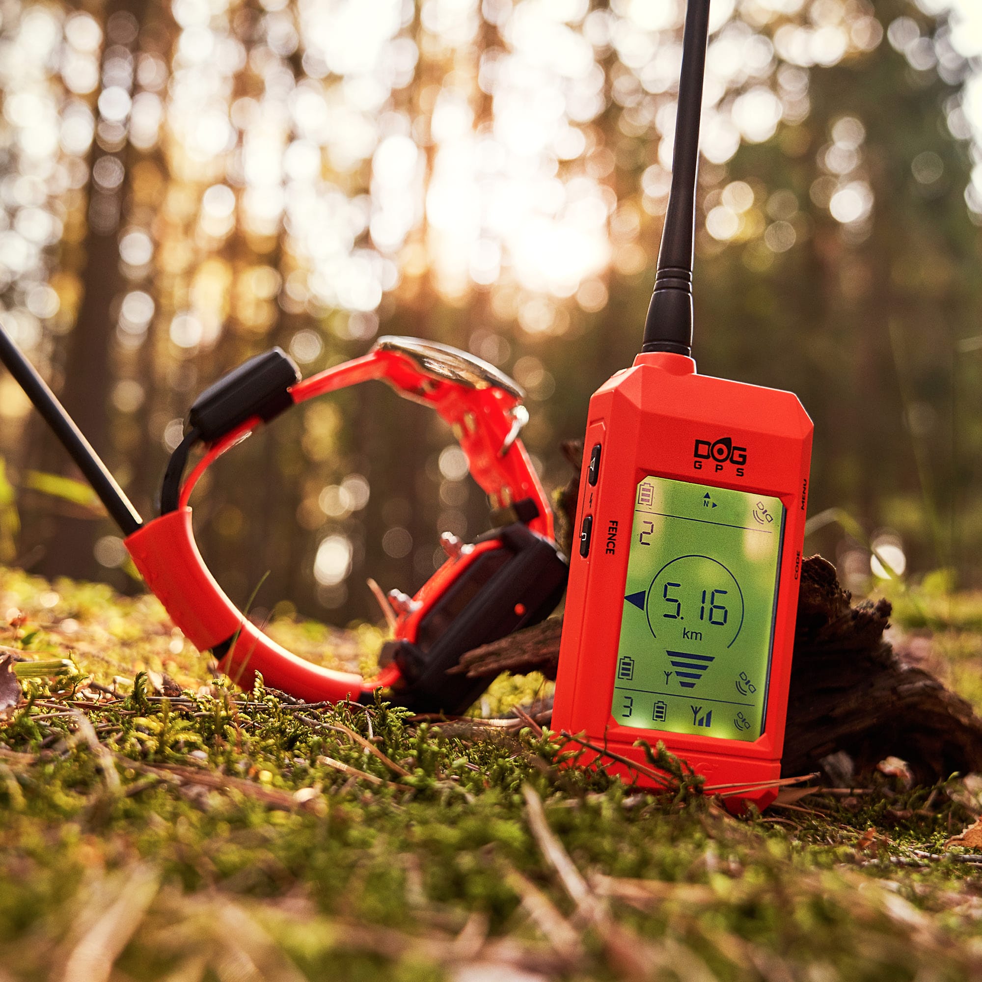 Dogtrace DOG GPS X25T, Collare aggiuntivo - immagine 3