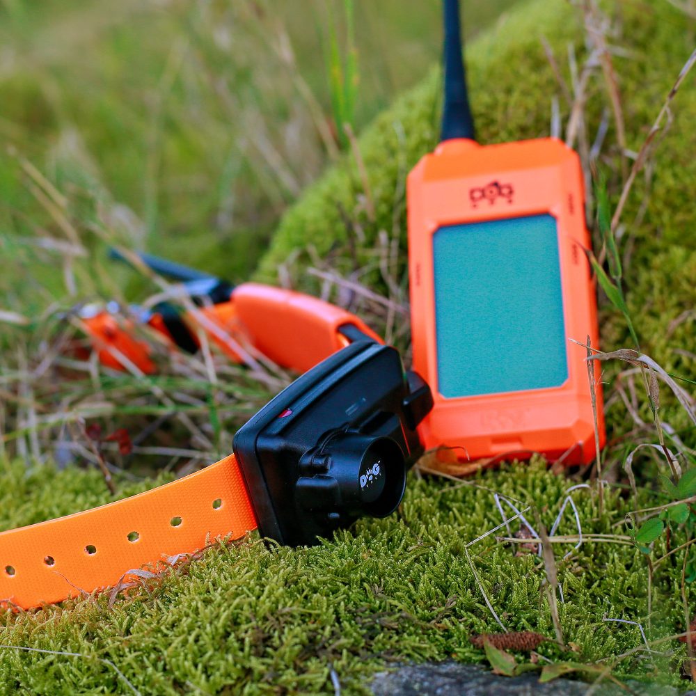 Dogtrace DOG GPS X25B Kit - immagine 5