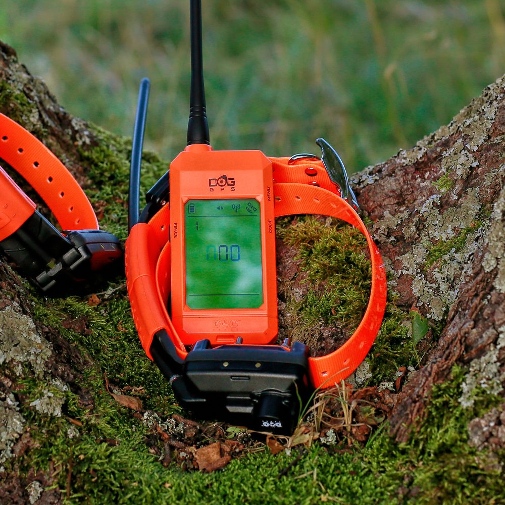 Dogtrace DOG GPS X25TB Kit - immagine 4