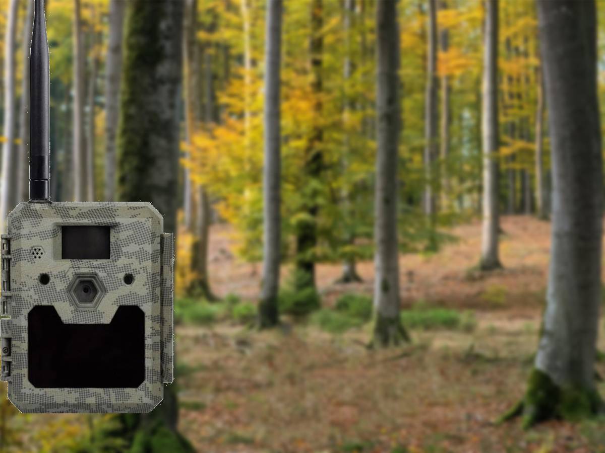 Icucam 5 la fototrappola da caccia con sim senza abbonamento Icucam 5 la fototrappola da caccia con sim senza abbonamento