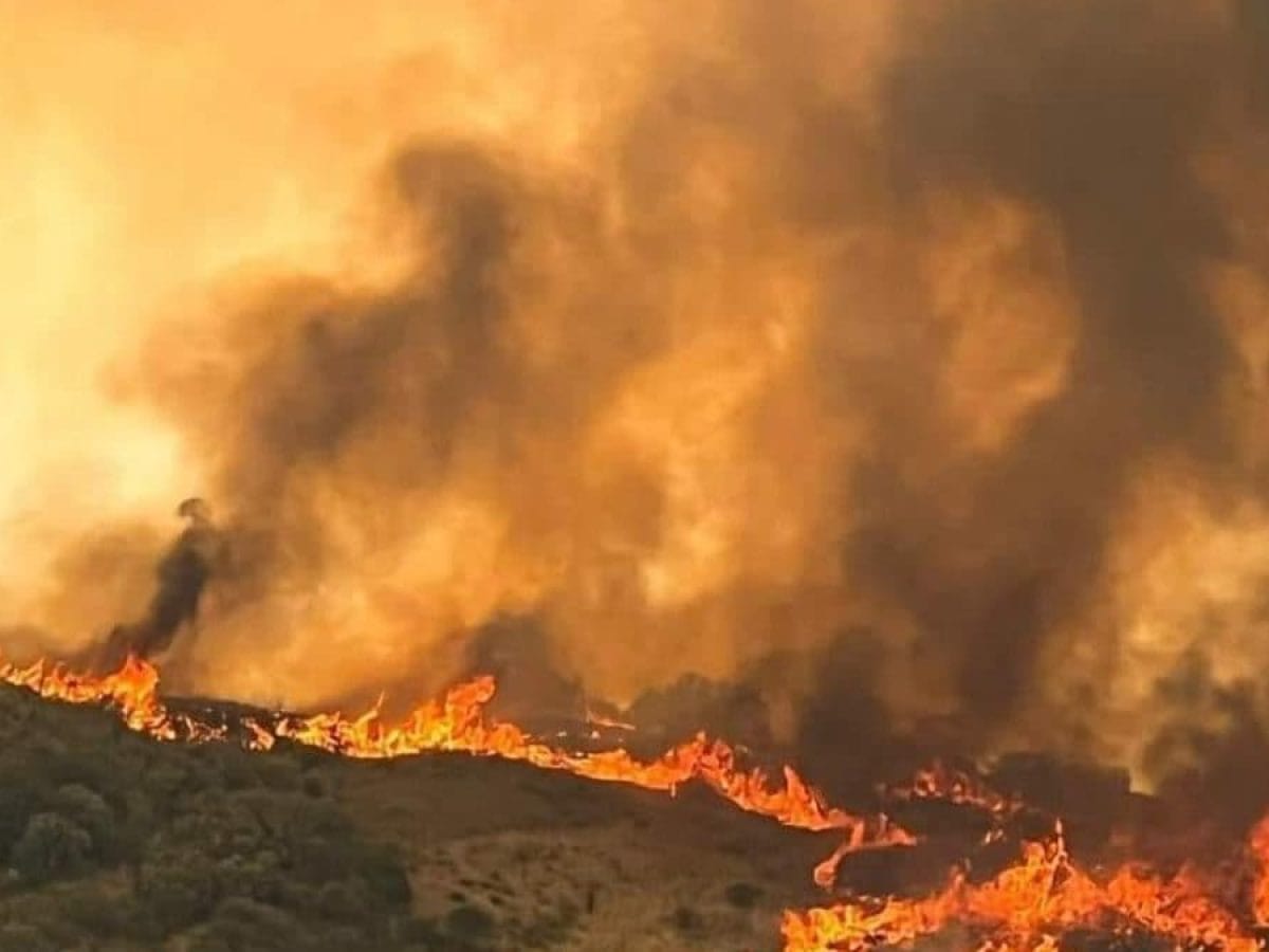 Gabriele Dettori racconta l’inferno di Cinigiano