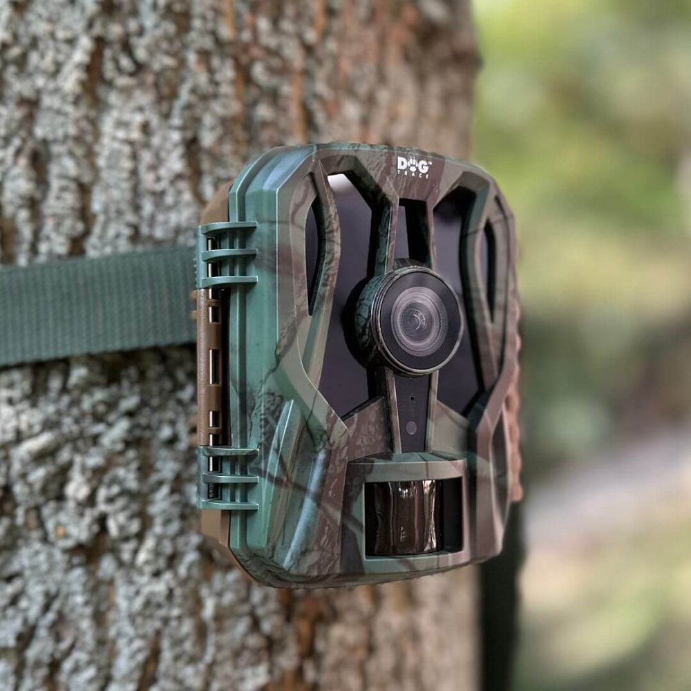 DogTrace Phototrap d-guard mini - immagine 6
