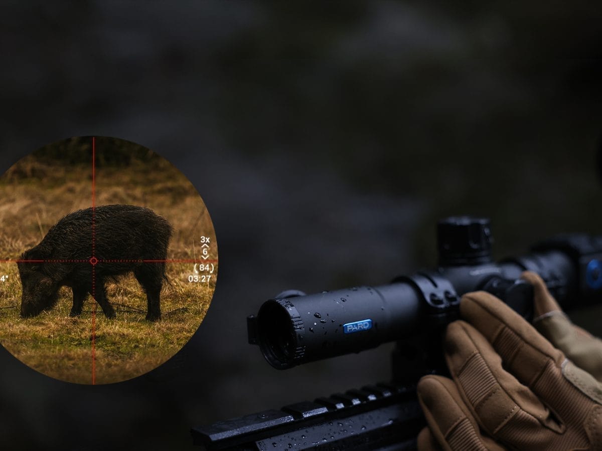 Pard Night Stalker Mini Digital Scope - C&C Hunting | Outdoor Innovation Pard Night Stalker Mini Digital Scope - C&C Hunting | Outdoor Innovation