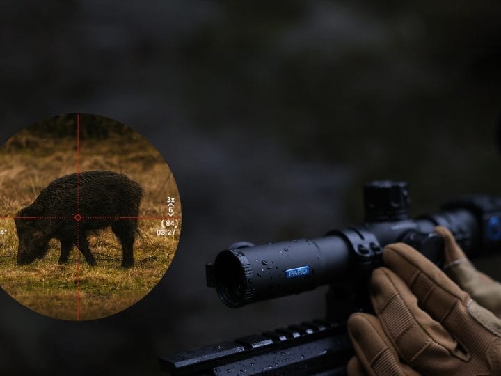 Pard Night Stalker Mini Digital Scope - C&C Hunting | Outdoor Innovation Pard Night Stalker Mini Digital Scope - C&C Hunting | Outdoor Innovation
