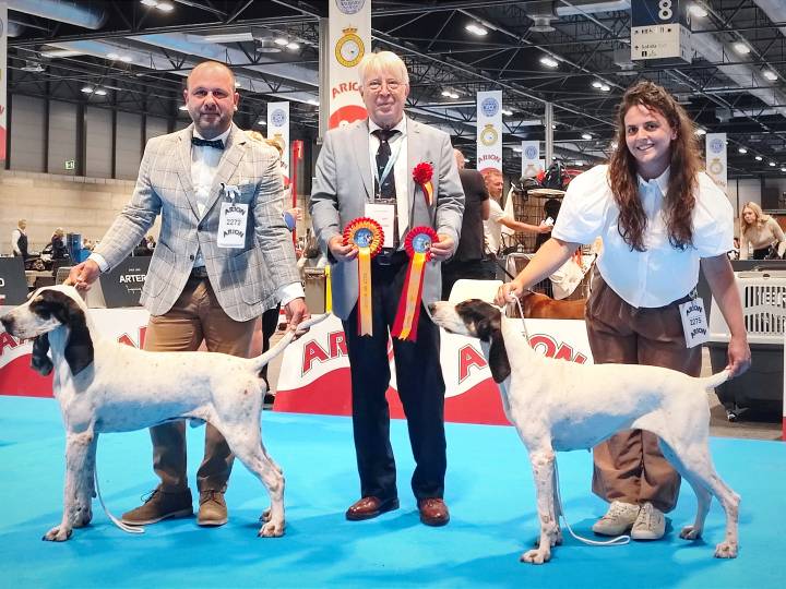Riccardo Migno trionfa al World Dog Show - C&C Hunting | Outdoor Innovation